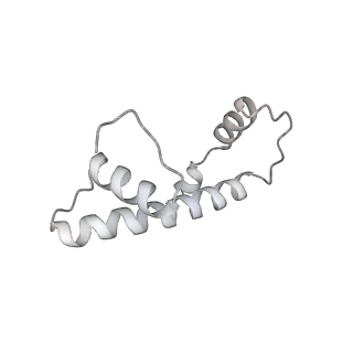 0674_6j4z_b_v1-3
RNA polymerase II elongation complex bound with Spt4/5 and foreign DNA, stalled at SHL(-1) of the nucleosome