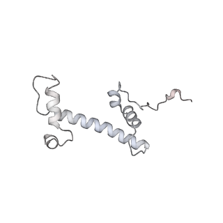 0674_6j4z_c_v1-3
RNA polymerase II elongation complex bound with Spt4/5 and foreign DNA, stalled at SHL(-1) of the nucleosome