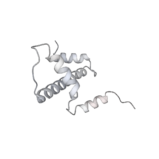 0674_6j4z_e_v1-3
RNA polymerase II elongation complex bound with Spt4/5 and foreign DNA, stalled at SHL(-1) of the nucleosome