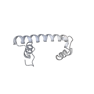 0674_6j4z_f_v1-3
RNA polymerase II elongation complex bound with Spt4/5 and foreign DNA, stalled at SHL(-1) of the nucleosome