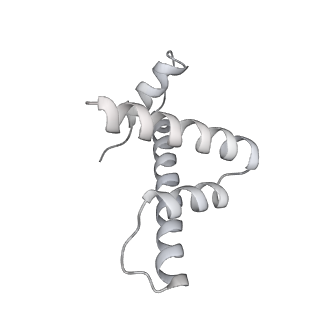 0674_6j4z_h_v1-3
RNA polymerase II elongation complex bound with Spt4/5 and foreign DNA, stalled at SHL(-1) of the nucleosome