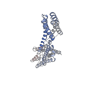 35971_8j46_A_v1-0
Human Consensus Olfactory Receptor OR52c in apo state, OR52c-bRIL