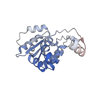 35977_8j4t_G_v1-0
GajA-GajB complex