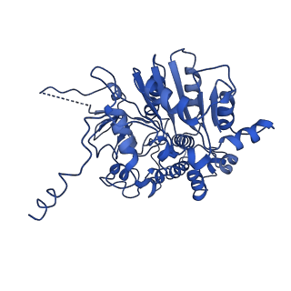 35978_8j4u_A_v1-0
Structure of HerA-Sir2 complex from Escherichia coli Nezha system