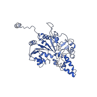35978_8j4u_B_v1-0
Structure of HerA-Sir2 complex from Escherichia coli Nezha system