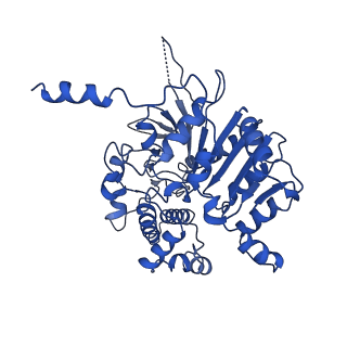 35978_8j4u_C_v1-0
Structure of HerA-Sir2 complex from Escherichia coli Nezha system