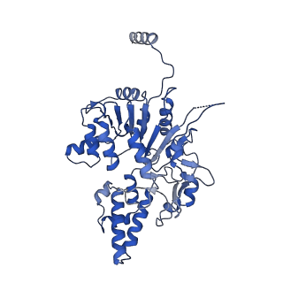 35978_8j4u_D_v1-0
Structure of HerA-Sir2 complex from Escherichia coli Nezha system