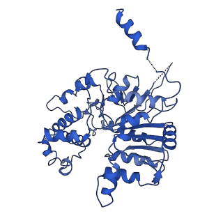 35978_8j4u_E_v1-0
Structure of HerA-Sir2 complex from Escherichia coli Nezha system