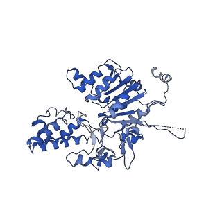 35978_8j4u_F_v1-0
Structure of HerA-Sir2 complex from Escherichia coli Nezha system