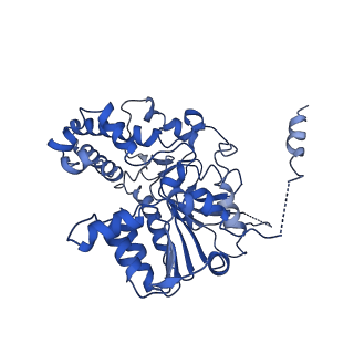 35978_8j4u_G_v1-0
Structure of HerA-Sir2 complex from Escherichia coli Nezha system