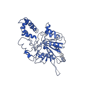 35978_8j4u_H_v1-0
Structure of HerA-Sir2 complex from Escherichia coli Nezha system