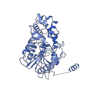 35978_8j4u_I_v1-0
Structure of HerA-Sir2 complex from Escherichia coli Nezha system