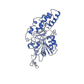 35978_8j4u_J_v1-0
Structure of HerA-Sir2 complex from Escherichia coli Nezha system