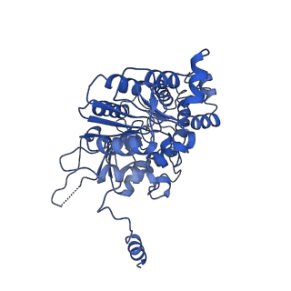 35978_8j4u_K_v1-0
Structure of HerA-Sir2 complex from Escherichia coli Nezha system