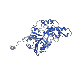 35978_8j4u_L_v1-0
Structure of HerA-Sir2 complex from Escherichia coli Nezha system