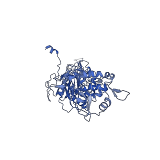 35978_8j4u_O_v1-0
Structure of HerA-Sir2 complex from Escherichia coli Nezha system