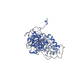 35978_8j4u_P_v1-0
Structure of HerA-Sir2 complex from Escherichia coli Nezha system