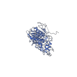 35978_8j4u_Q_v1-0
Structure of HerA-Sir2 complex from Escherichia coli Nezha system