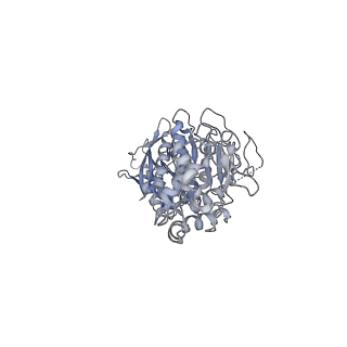 35978_8j4u_R_v1-0
Structure of HerA-Sir2 complex from Escherichia coli Nezha system