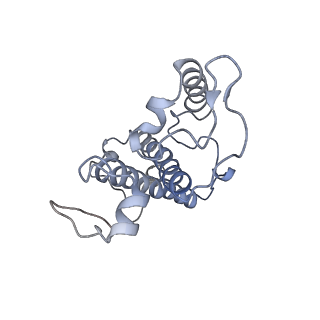 9777_6j40_14_v1-3
Structure of C2S2M2-type PSII-FCPII supercomplex from diatom