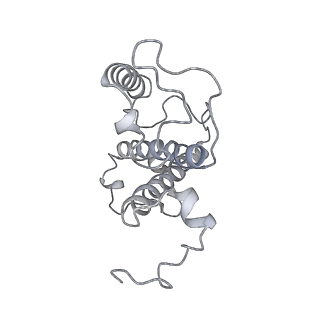 9777_6j40_15_v1-3
Structure of C2S2M2-type PSII-FCPII supercomplex from diatom