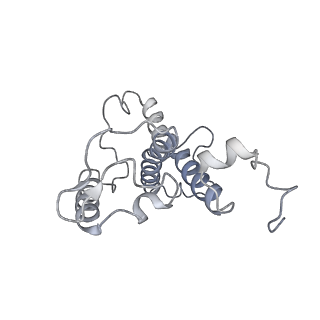 9777_6j40_16_v1-3
Structure of C2S2M2-type PSII-FCPII supercomplex from diatom