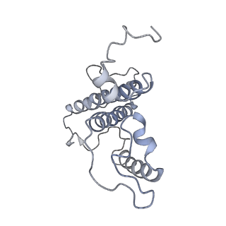 9777_6j40_17_v1-3
Structure of C2S2M2-type PSII-FCPII supercomplex from diatom
