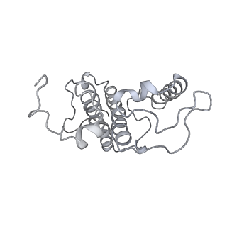 9777_6j40_18_v1-3
Structure of C2S2M2-type PSII-FCPII supercomplex from diatom