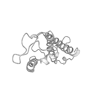 9777_6j40_21_v1-3
Structure of C2S2M2-type PSII-FCPII supercomplex from diatom