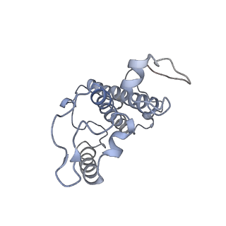9777_6j40_34_v1-3
Structure of C2S2M2-type PSII-FCPII supercomplex from diatom