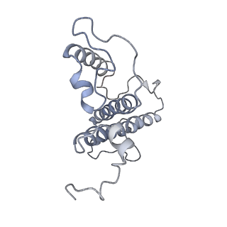 9777_6j40_37_v1-3
Structure of C2S2M2-type PSII-FCPII supercomplex from diatom