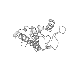 9777_6j40_41_v1-3
Structure of C2S2M2-type PSII-FCPII supercomplex from diatom