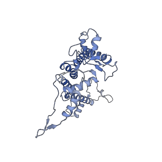 9777_6j40_A_v1-3
Structure of C2S2M2-type PSII-FCPII supercomplex from diatom