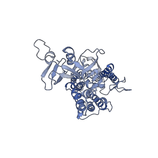 9777_6j40_B_v1-3
Structure of C2S2M2-type PSII-FCPII supercomplex from diatom