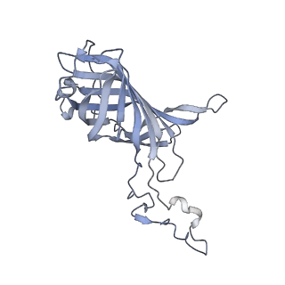 9777_6j40_O_v1-3
Structure of C2S2M2-type PSII-FCPII supercomplex from diatom