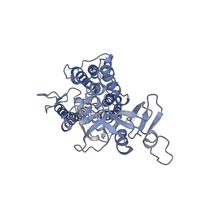 9777_6j40_b_v1-3
Structure of C2S2M2-type PSII-FCPII supercomplex from diatom