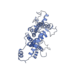 9777_6j40_d_v1-3
Structure of C2S2M2-type PSII-FCPII supercomplex from diatom
