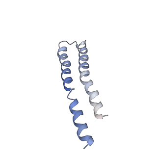 0668_6j54_K_v1-2
Cryo-EM structure of the mammalian E-state ATP synthase FO section