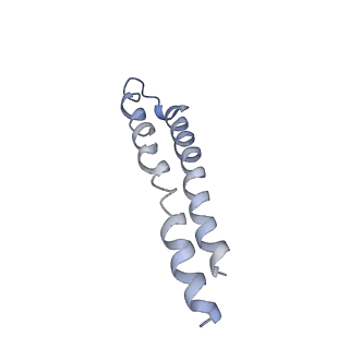 0668_6j54_L_v1-2
Cryo-EM structure of the mammalian E-state ATP synthase FO section