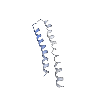 0668_6j54_O_v1-2
Cryo-EM structure of the mammalian E-state ATP synthase FO section