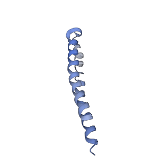 0668_6j54_Q_v1-2
Cryo-EM structure of the mammalian E-state ATP synthase FO section