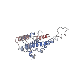 0668_6j54_a_v1-1
Cryo-EM structure of the mammalian E-state ATP synthase FO section
