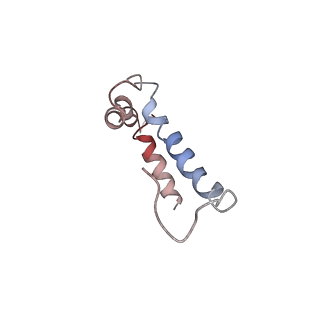 0668_6j54_f_v1-1
Cryo-EM structure of the mammalian E-state ATP synthase FO section