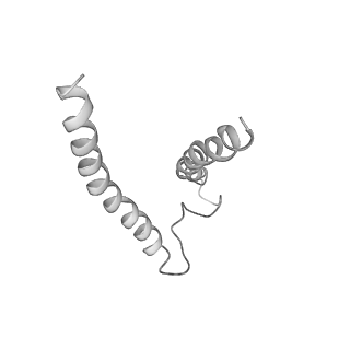 0668_6j54_g_v1-2
Cryo-EM structure of the mammalian E-state ATP synthase FO section