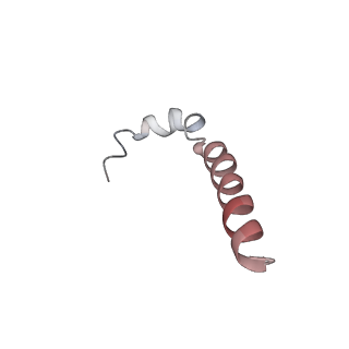 0668_6j54_i_v1-2
Cryo-EM structure of the mammalian E-state ATP synthase FO section