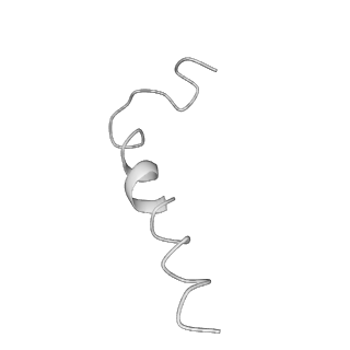 0668_6j54_k_v1-2
Cryo-EM structure of the mammalian E-state ATP synthase FO section