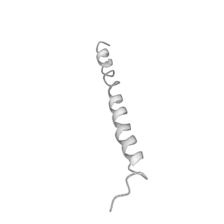 0668_6j54_u_v1-2
Cryo-EM structure of the mammalian E-state ATP synthase FO section