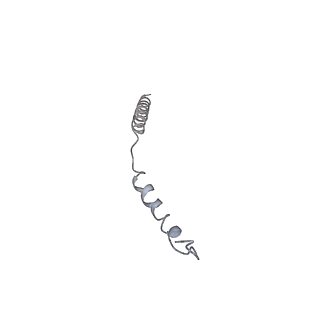 0669_6j5j_8_v1-2
Cryo-EM structure of the mammalian E-state ATP synthase