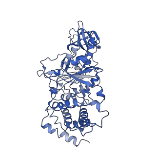 0669_6j5j_A_v1-1
Cryo-EM structure of the mammalian E-state ATP synthase