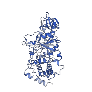 0669_6j5j_A_v1-2
Cryo-EM structure of the mammalian E-state ATP synthase